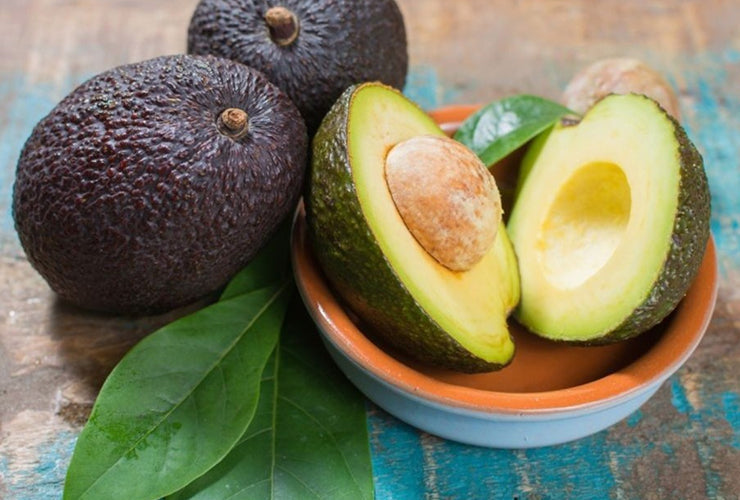 Buy Avocado Fruit | Online | Imported