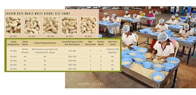 W180 Jumbo Size Cashews Whole Cashew Nut 1kg