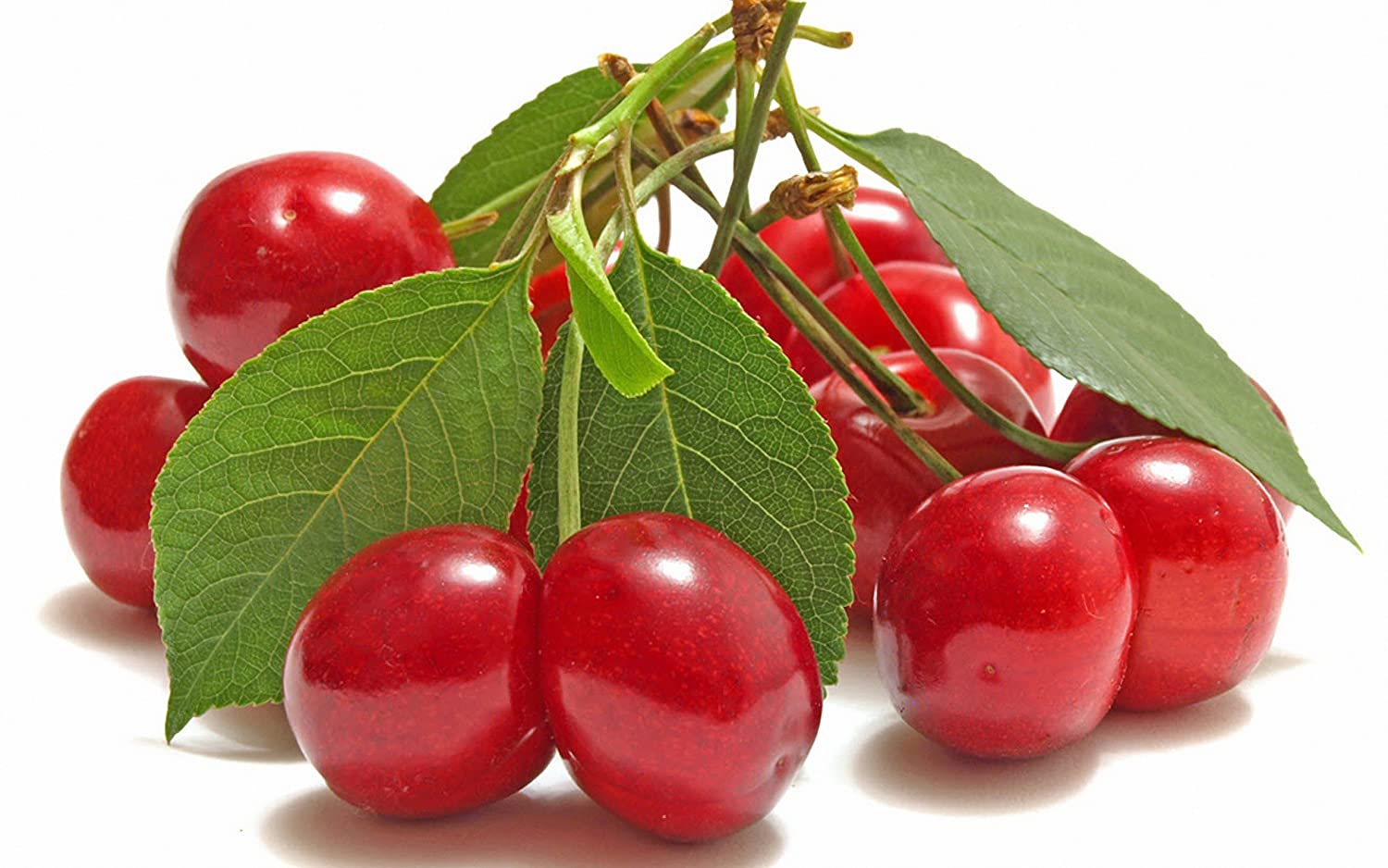 Imported Fresh Cherries online - Cherry Fruit