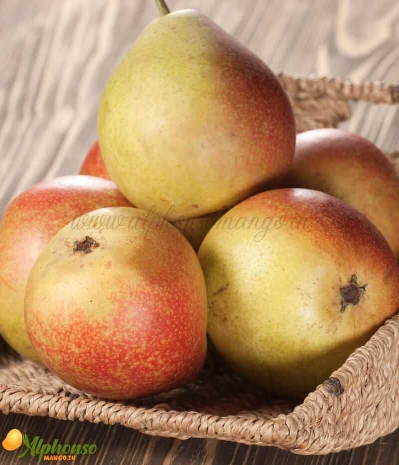 Buy Beauty Pear