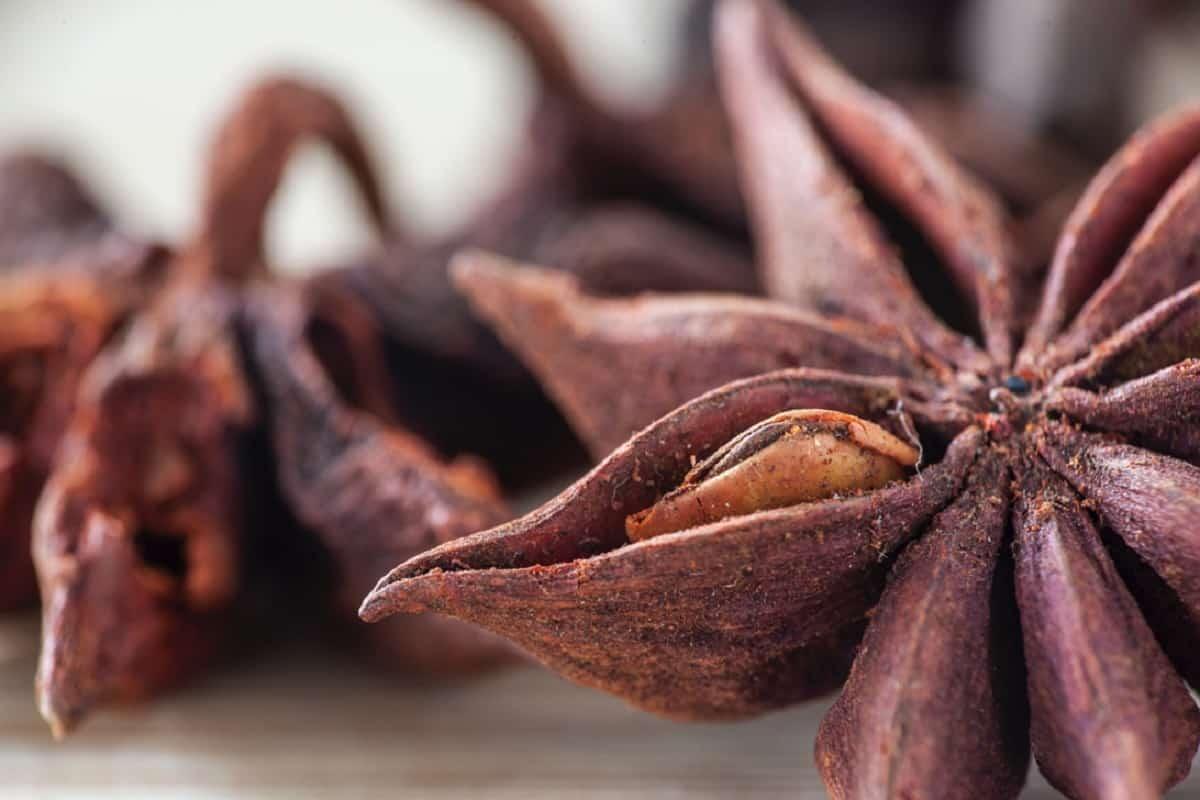 Star Anise | Chakra Phool