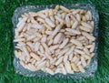 Chilgoza | Pine Nuts | Pinenuts