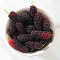 Mulberry | Mulberries
