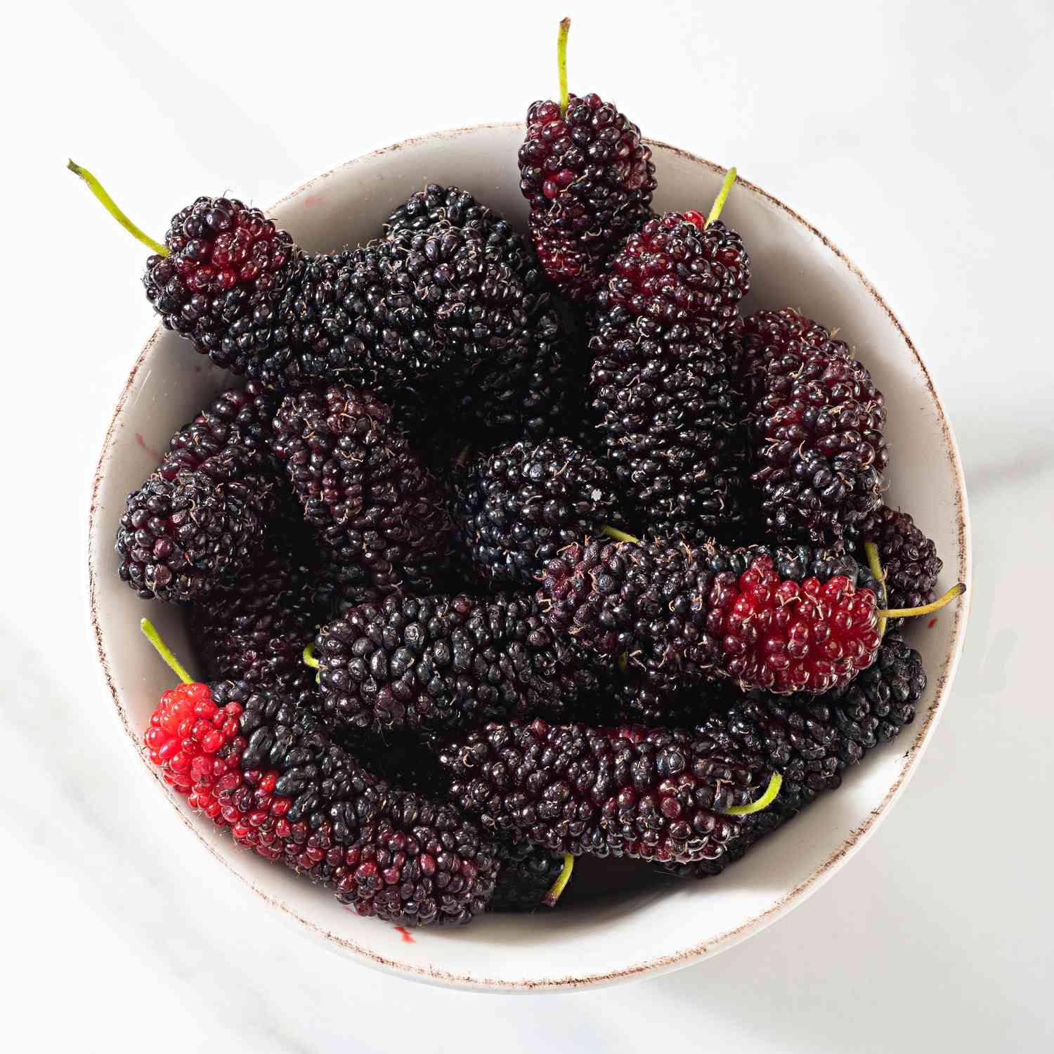 Mulberry | Mulberries