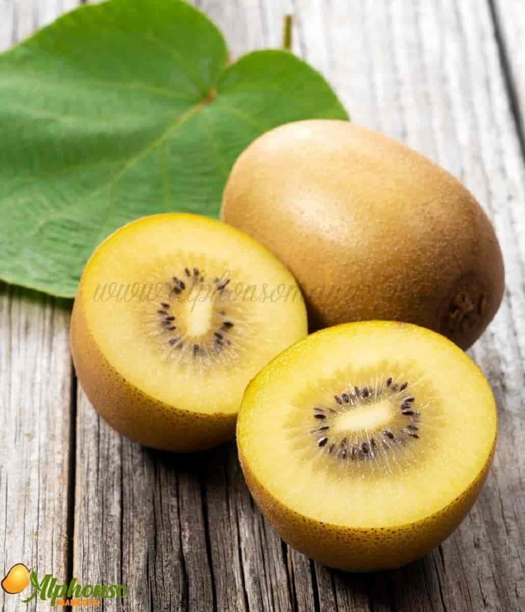 Buy Premium Golden Kiwi Online