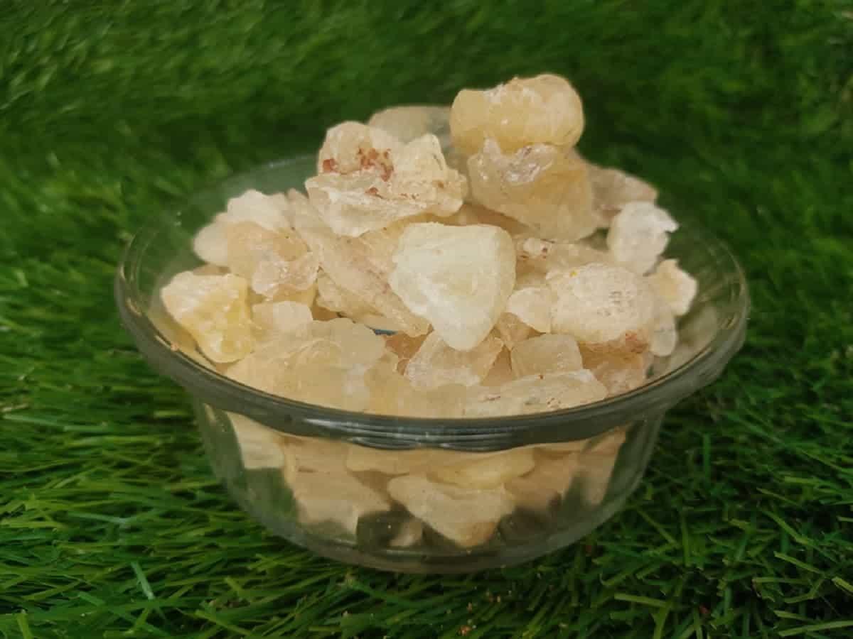 Gond Katira | Badam Pisin | Almond Gum | Dink Gond |