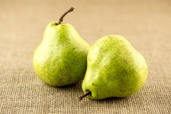 Packham Pear