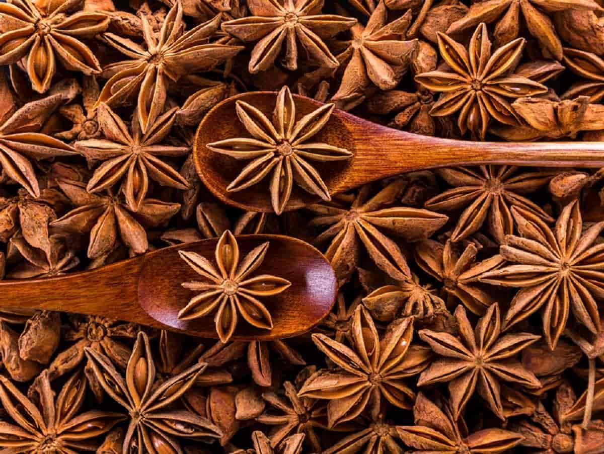 Star Anise | Chakra Phool